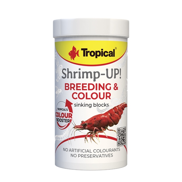 Tropical Shrimp Up Breeding & Colour
