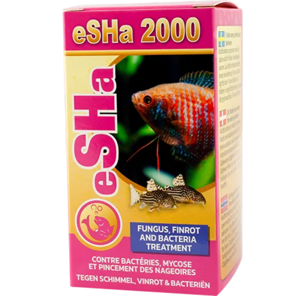Esha 2000