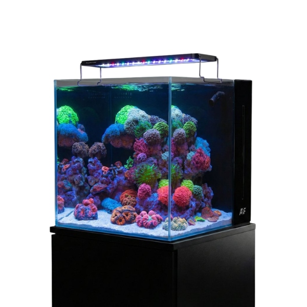 Aquaforest Nano Tank