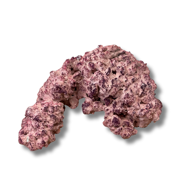 Aquaforest Rock Arch 4