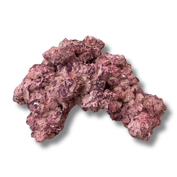 Aquaforest Rock Arch 5