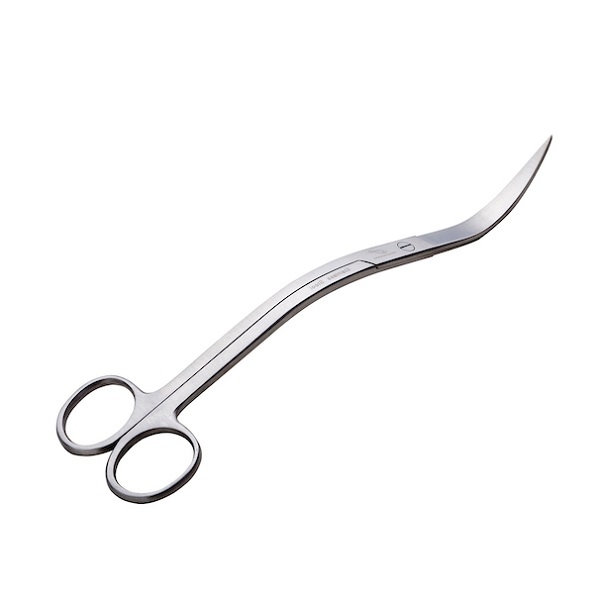 Aquili zakrivljene škare