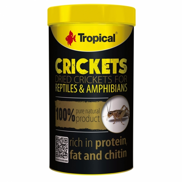 Tropical Crickets 250ml