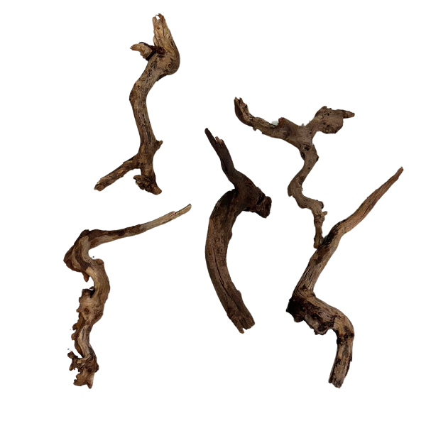 Biom Drift Wood 1 - SET