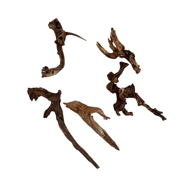 Biom Drift Wood 2 - SET