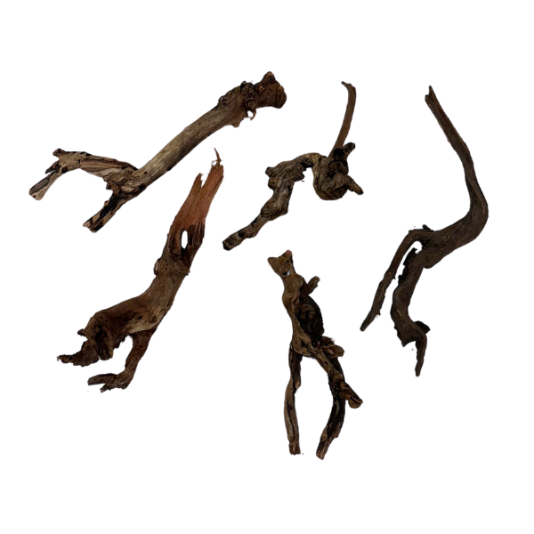 Biom Drift Wood 3 - SET