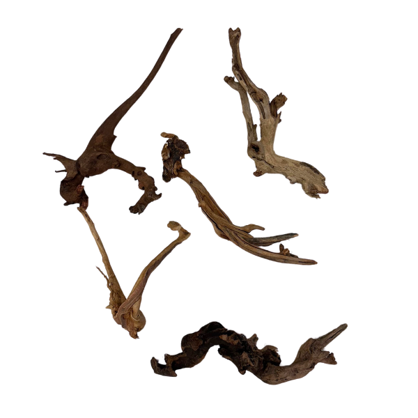 Biom Drift Wood 4 - SET