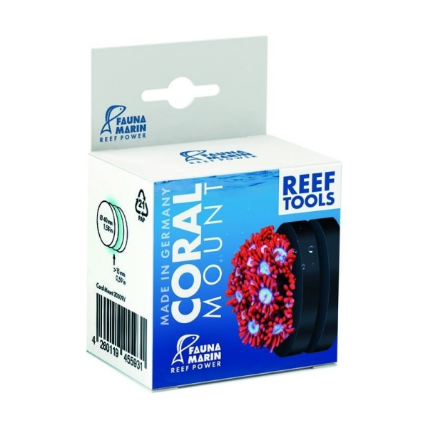 Fauna Marin Coral Mount