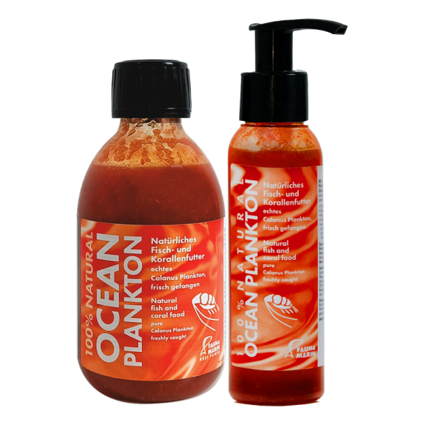 Fauna Marin Ocean Plancton