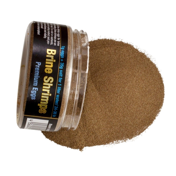Discusfood Brine Shrimps Premium Eggs