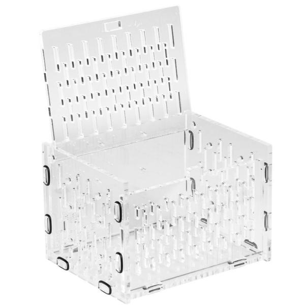 Schöne Korallen Fishbox