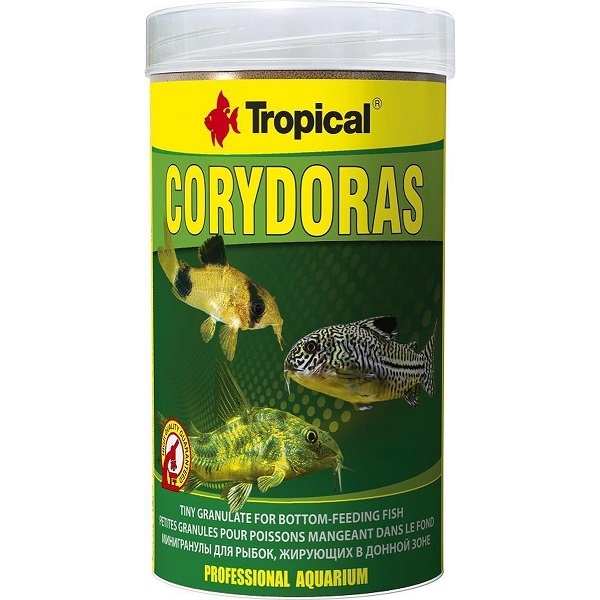 Tropical Corydoras