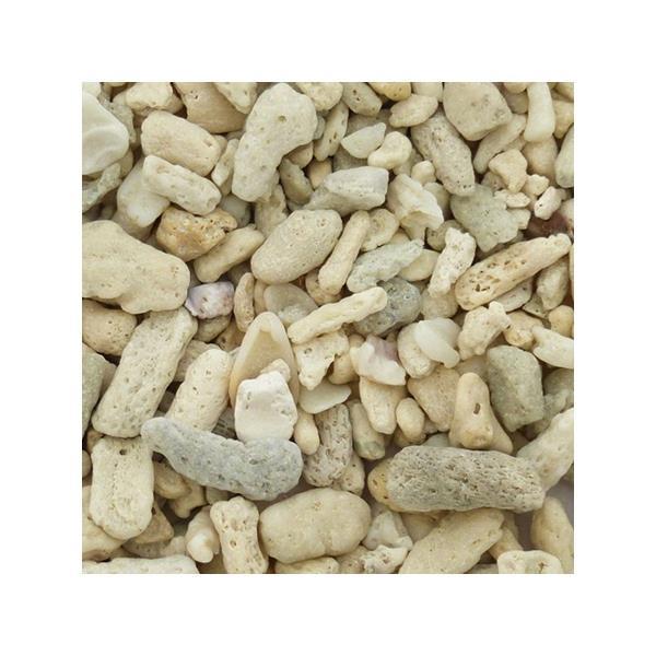 Biom koralni pesek 5-6 mm - 1 kg