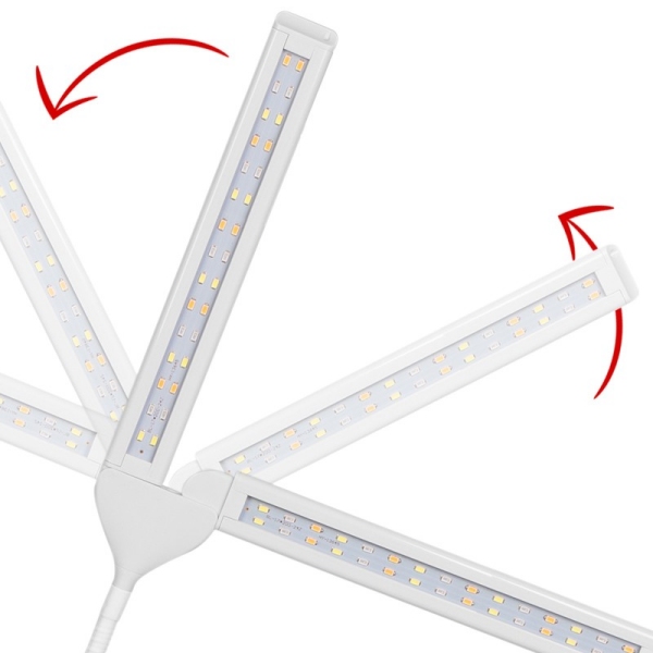 Kruger Meier VitaBeam