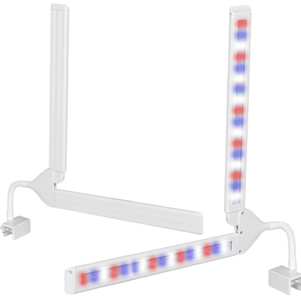 Kruger Meier VitaBeam