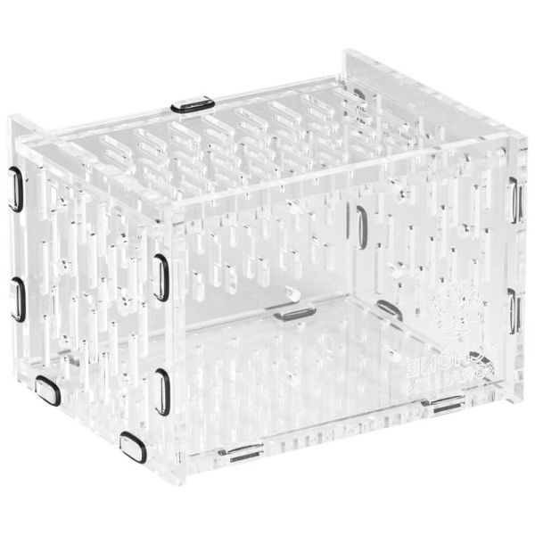 Schöne Korallen Fishbox