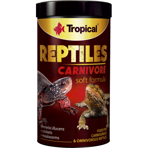 Tropical Reptiles Soft Carnivore