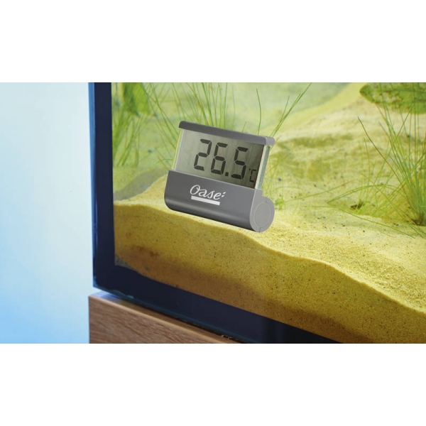 Oase Digital Thermometer