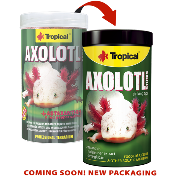 Tropical Axolotl Sticks