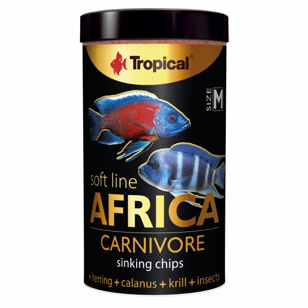 Tropical SL Africa Carnivore