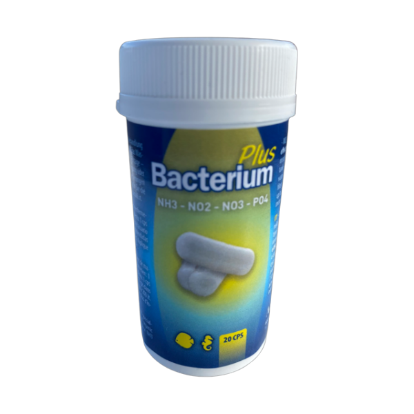 Aquili Bacterium E PLUS - 20 kapsul