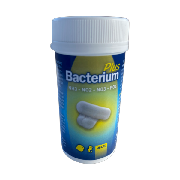 Aquili Bacterium E PLUS