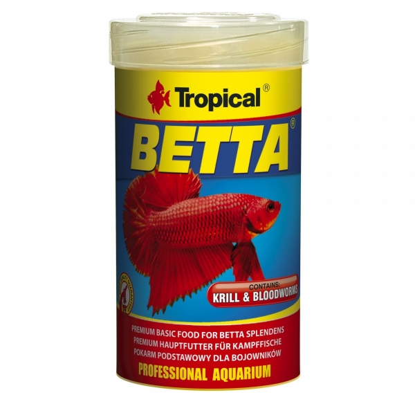 Tropical Betta