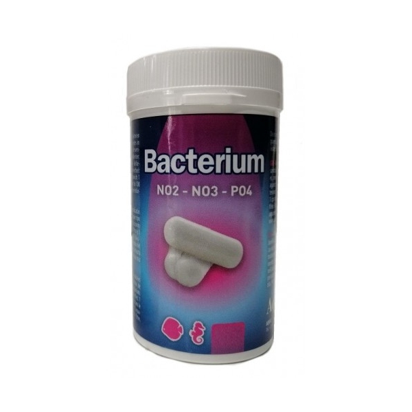 Aquili Bacterium