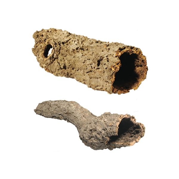 Biom Cork Tube