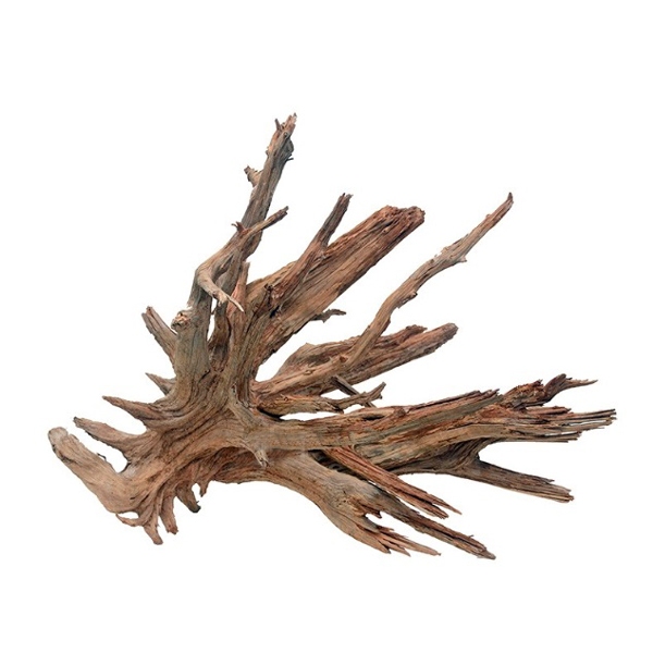 Biom Driftwood