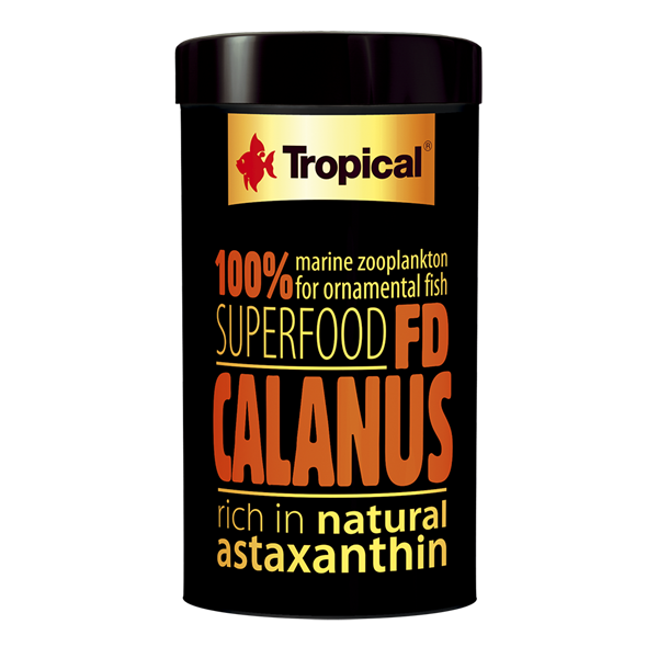 Tropical FD Calanus