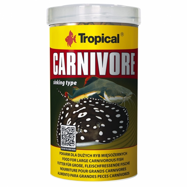 Tropical Carnivore