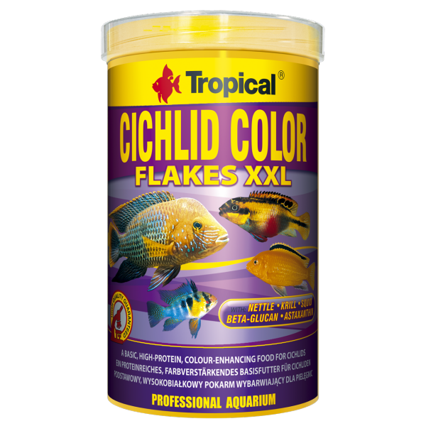 Tropical Cichlid Color