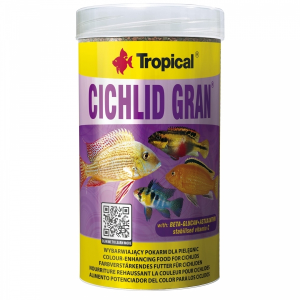 Tropical Cichlid Gran