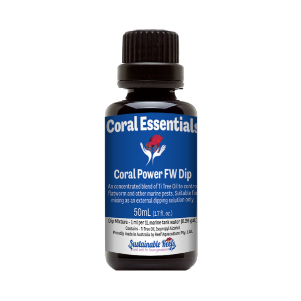 Coral Essentials Coral Power Dip