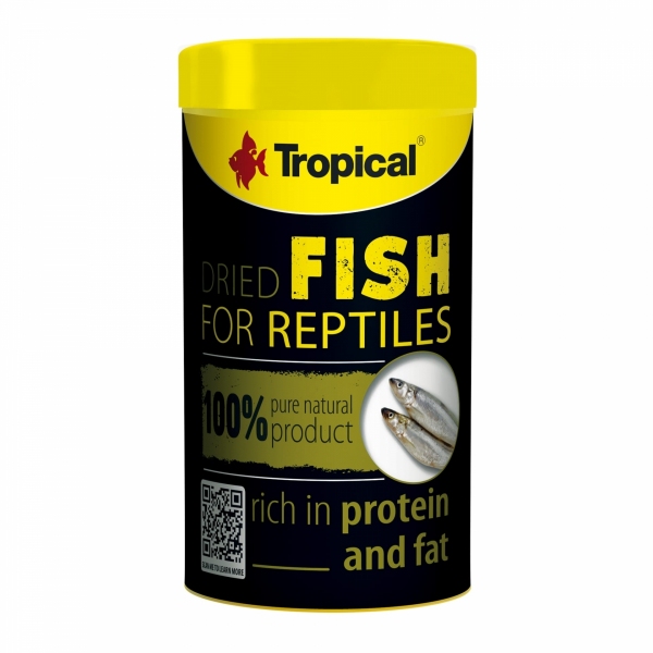 Tropical Dried Fish