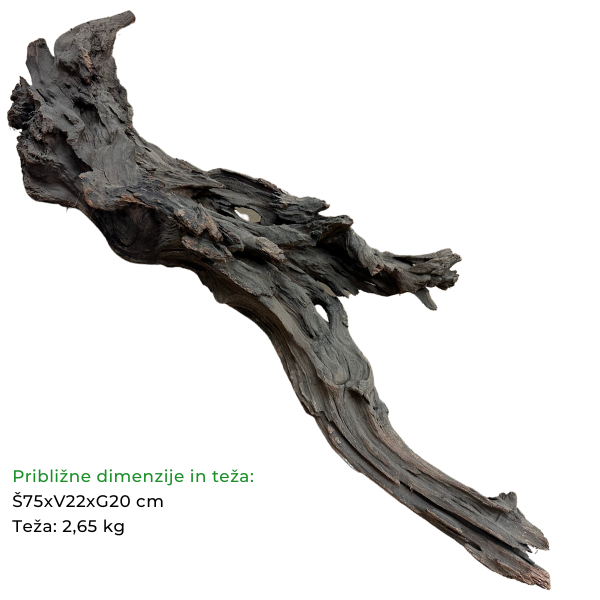 Biom Driftwood