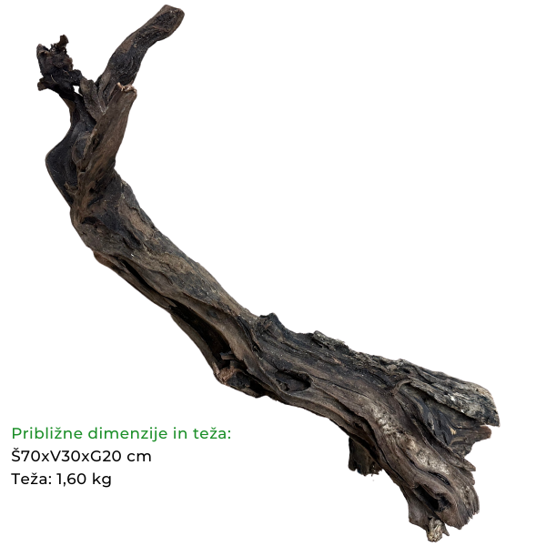 Biom Driftwood