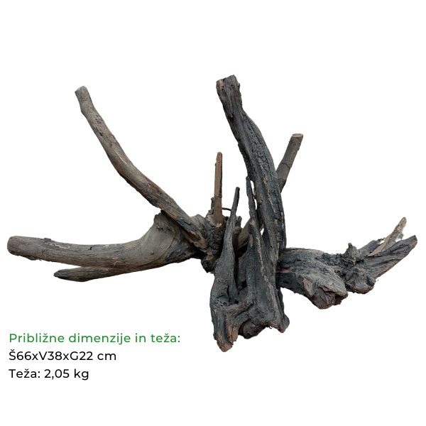 Biom Drift Wood 3
