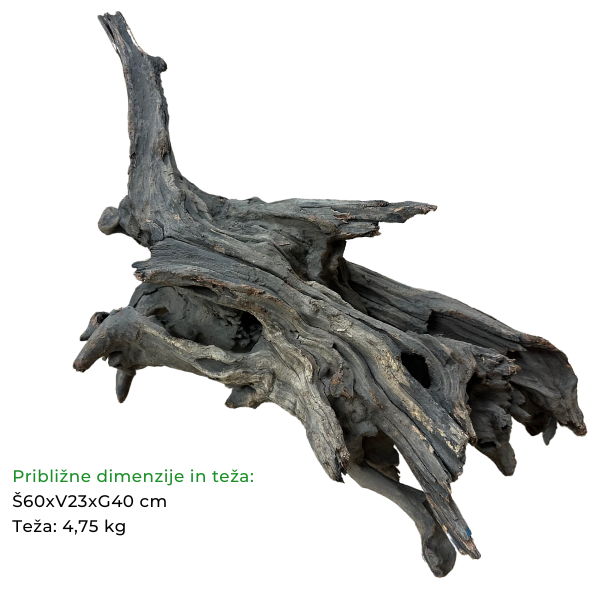 Biom Driftwood