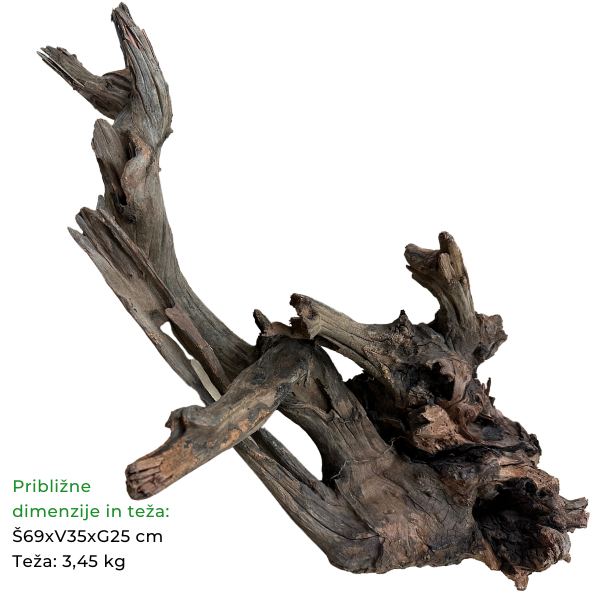 Biom Driftwood