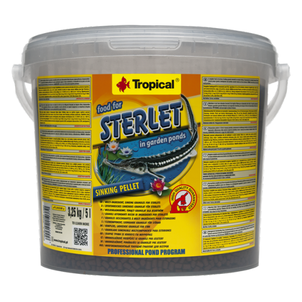 Tropical Sterlet Premium