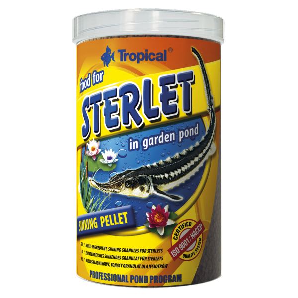 Tropical Sterlet Premium