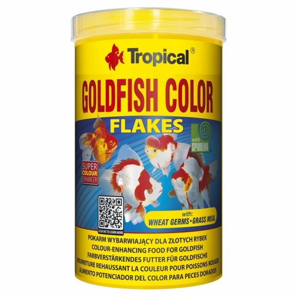 Tropical Goldfish Color