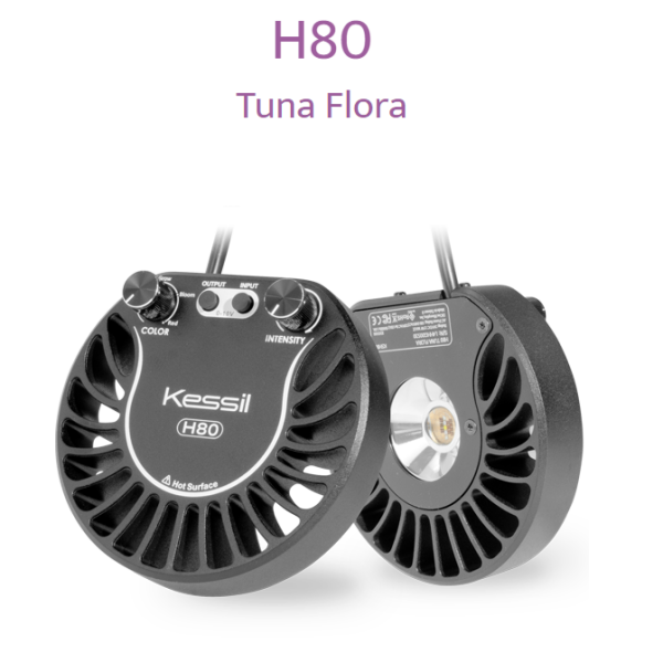 Kessil LED H80 Tuna Flora