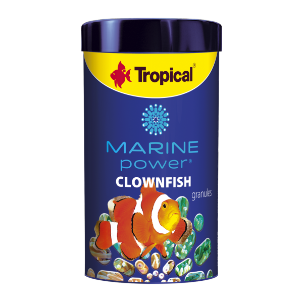 Tropical Marine Power Clownfish