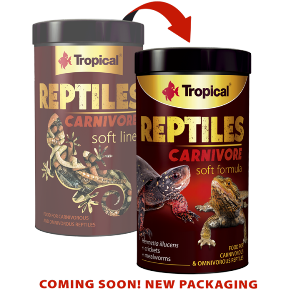 Tropical Reptiles Soft Carnivore