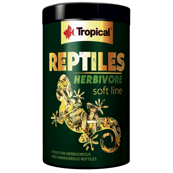 Tropical Reptiles Soft Herbivore