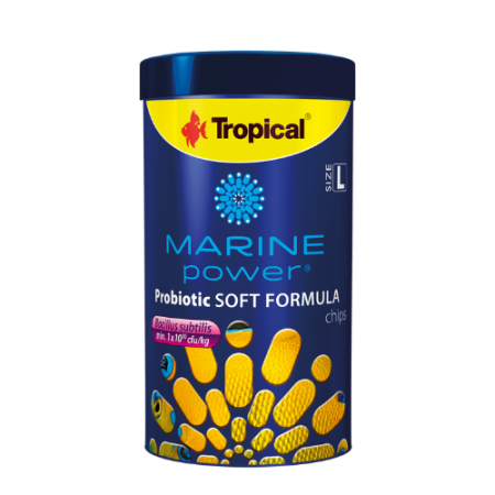 Probiotic-/-Soft-food