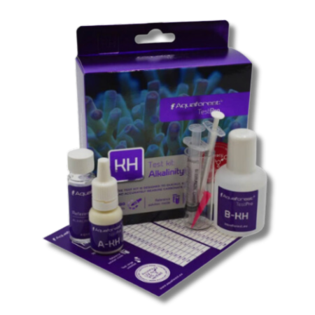 Testing-/-Measurement